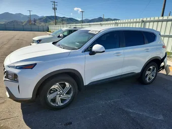 2023 Hyundai Santa Fe 5NMS14AJ1PH484730 Lot 54953256