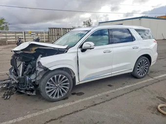 2025 Hyundai Palisade KM8R7DGE8SU882151