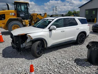 2024 Hyundai Palisade KM8R3DGE4RU664679