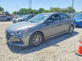 2019 Hyundai Sonata 5NPE24AF7KH798464 Lot 53451046