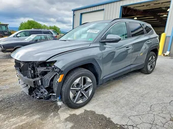 2025 Hyundai Tucson 5NMJBCDE8SH480796 Lot 53255546