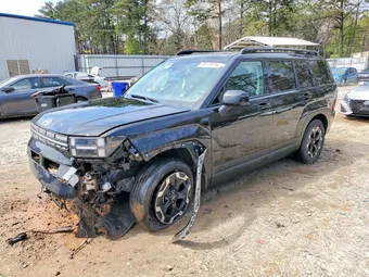 2025 Hyundai Santa Fe 5NMP24GL5SH096033 Lot 46448546
