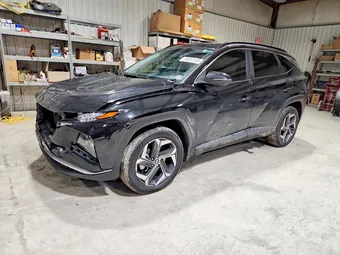 2024 Hyundai Tucson 5NMJFCDE4RH304701 Lot 76951195