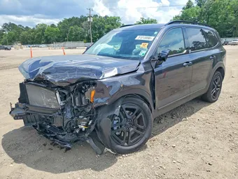 2025 Kia Telluride 5XYP5DGC9SG574598