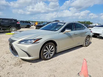 2019 Lexus ES 58ABZ1B16KU044160