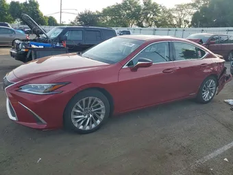 2019 Lexus ES JTHB21B14K2014472 Lot 55017266