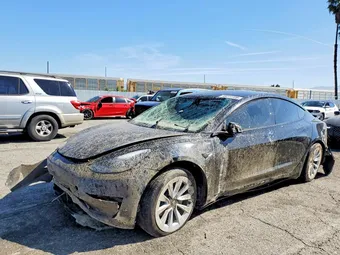 2023 Tesla Model 3 5YJ3E1EAXPF705244 Lot 49277726