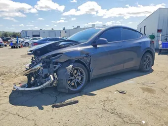 2025 Tesla Model Y 7SAYGAEE8SF282064 Lot 49968276