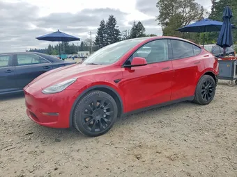 2021 Tesla Model Y 5YJYGAEE0MF217094 Lot 52438296