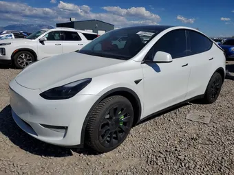 2023 Tesla Model Y 7SAYGDEE8PF692517 Lot 53980366