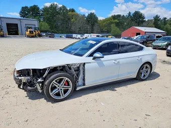 2019 Audi S5 WAUC4CF5XKA086319 Lot 53077506