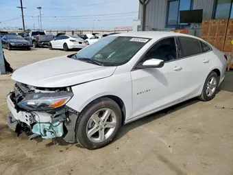 2024 Chevrolet Malibu 1G1ZD5STXRF209636 Lot 50352406