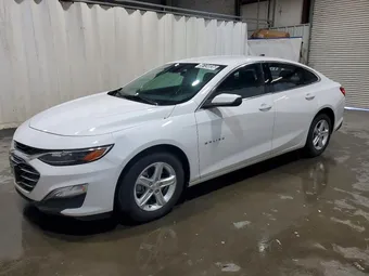 2024 Chevrolet Malibu 1G1ZB5ST6RF153300 Lot 56134036
