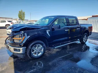 2025 Ford F-150 1FTEW3K52SKE28304 Lot 55771966