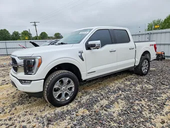 2023 Ford F-150 1FTFW1ED2PFB29424 Lot 53325216
