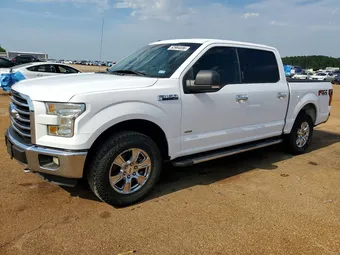2016 Ford F-150 1FTEW1EP0GKF97309 Lot 52964036