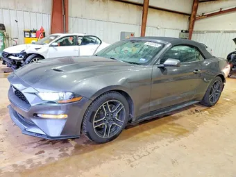 2019 Ford Mustang 1FATP8UH5K5159146 Lot 74323265