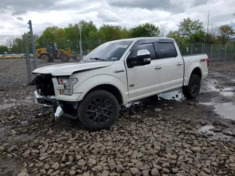 2016 Ford F-150 1FTEW1EF2GFA98298 Lot 51722416