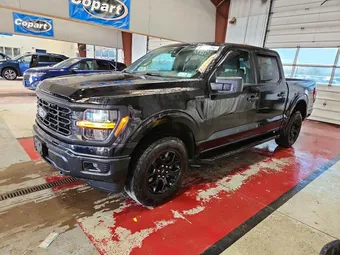 2024 Ford F-150 1FTEW2LP0RFB57062 Lot 49052526