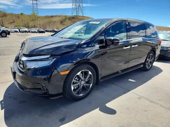 2024 Honda Odyssey 5FNRL6H95RB041081 Lot 50261826