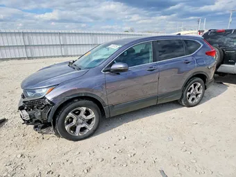 2019 Honda CR-V 7FARW2H59KE032567 Lot 52387026