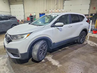 2020 Honda CR-V 2HKRW2H56LH608145 Lot 54483336