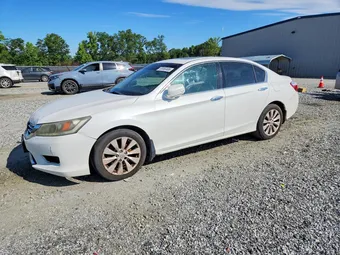 2015 Honda Accord 1HGCR3F8XFA020245 Lot 55550496