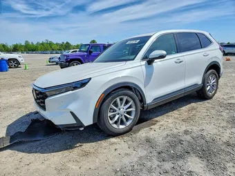 2025 Honda CR-V 2HKRS4H76SH497457 Lot 49078786