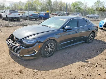 2022 Hyundai Sonata KMHL24JJ9NA048342 Lot 50117996