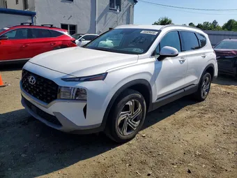 2023 Hyundai Santa Fe 5NMS2DAJ7PH488777 Lot 55509446