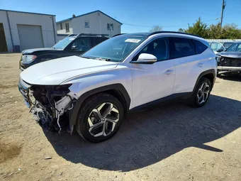 2023 Hyundai Tucson 5NMJECAE3PH244060 Lot 49249926