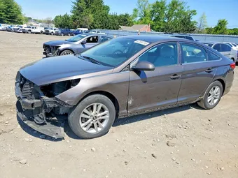 2017 Hyundai Sonata 5NPE24AF5HH555731 Lot 52580216