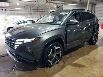 2023 Hyundai Tucson KM8JECA16PU095404 Lot 48503246
