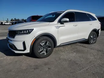 2023 Kia Sorento KNDRH4LG7P5169624 Lot 79808725