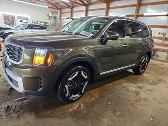 2024 Kia Telluride 5XYP6DGC7RG496832