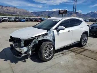 2022 Lexus NX 350 2T2HGCEZ5NC010216