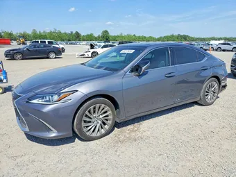 2019 Lexus ES 350 58ABZ1B13KU014243