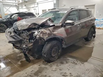 2015 Toyota RAV4 2T3RFREV0FW396093 Lot 96709865