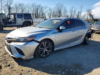 2019 Toyota Camry 4T1B11HK4KU793392 Lot 73536525