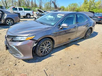 2021 Toyota Camry 4T1F31AK6MU555309 Lot 48945256