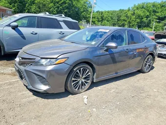 2019 Toyota Camry 4T1B11HK4KU730874 Lot 54948986