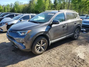 2016 Toyota RAV4 2T3WFREV1GW240469 Lot 53957656