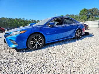 2019 Toyota Camry 4T1B11HK1KU254342 Lot 50426196