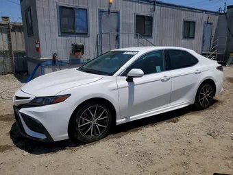 2023 Toyota Camry 4T1G11AK9PU837135 Lot 55714766