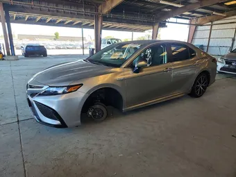 2021 Toyota Camry 4T1G31AK4MU029054 Lot 53819536