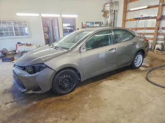 2019 Toyota Corolla 2T1BURHE5KC194891 Lot 49815346