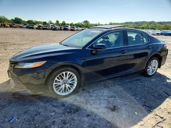 2020 Toyota Camry 4T1F11AK0LU941177 Lot 51477366