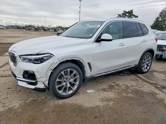 2019 BMW X5 5UXCR6C53KLB12419 Lot 51698466