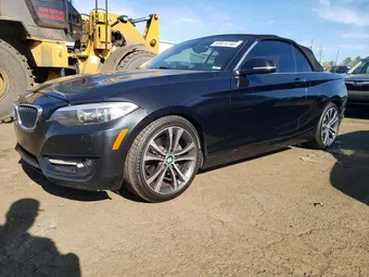 2015 BMW 2 Series WBA1K5C50FV242850