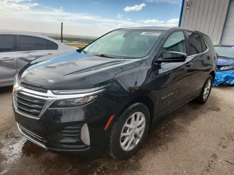 2023 Chevrolet Equinox 3GNAXJEG8PL113596 Lot 55731996